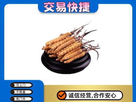 桂林市兴安回收冬虫夏草多少钱每克